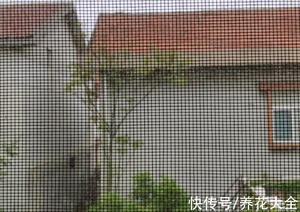 年底在家大扫除，记住5个小妙招，省时省力干干净净