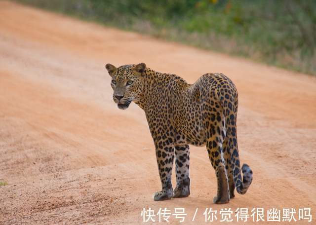 代谢率|艾绮身材管理:减了这么多年的肥,您真的了解肥胖的来源吗?