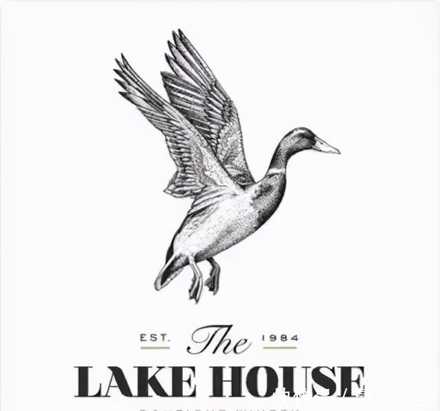 自然|2021年最新的 LOGO 设计趋势