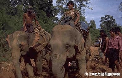 翡翠是这样来的,“翡翠”不贵才怪!