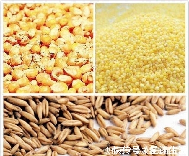 如果你想钓鱼,不要依赖商业鱼饵,你必须依赖它们
