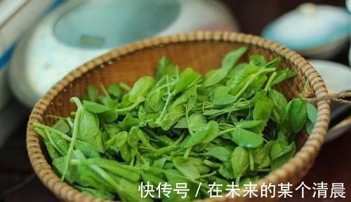 排毒|女性过了30岁,推荐3种食物,排毒清肠,刮油消脂,消除小赘肉