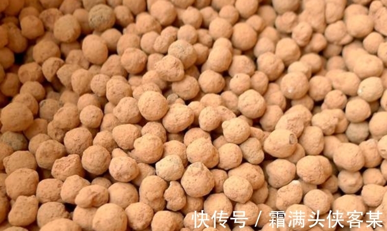 火烧土比较硬,还带有很多细小的气孔,拿来养多肉是不是非常好?