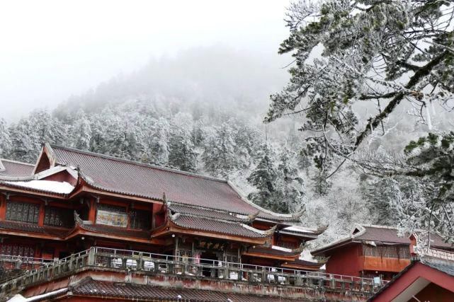 情怀|只下了一场雪，峨眉山又多了这些名场面