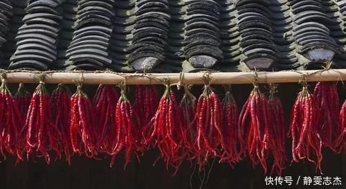 脾胃|一种不伤身体的吃辣方法,暖脾胃,升阳气,祛除体内湿气和老寒!