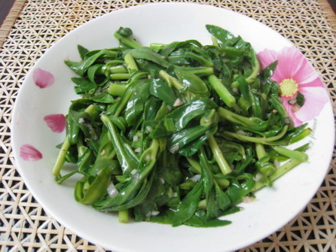 救心菜|此菜被称“养心菜”,再贵也要买,大人孩子吃了都健康,很珍贵