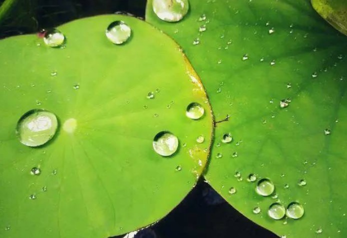 血压|血压高的人,不想脑溢血,少碰4种食物,谨记补三物,做三控