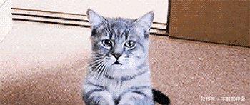 迷茫 《非诚勿扰》火了八年,不仅都是托,原来女嘉宾都是这样来的!