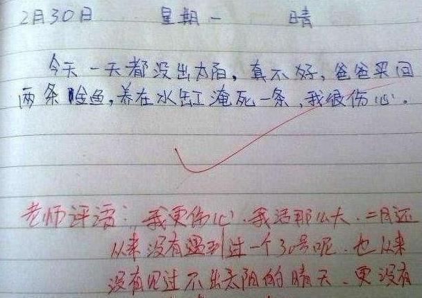 小学生|“2月30日,我家金鱼淹死了”,小学生日记走红,老师哭笑不得