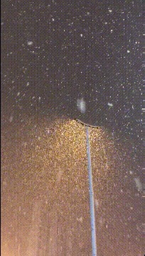 |搞笑GIF趣图：再有二个月就要过年了，你们家乡有没有下雪