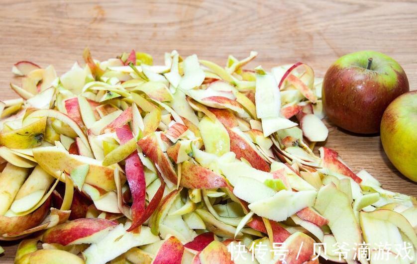 养花中，此些也是很好的肥料，果皮，果壳，啤酒都能施肥