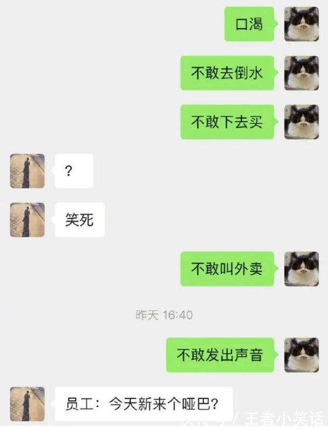 小情侣|如何快速地找到对象？小情侣的操作简直了，哈哈