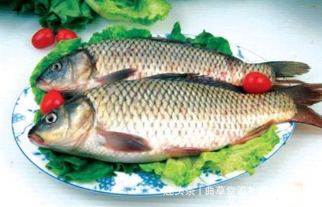  方法|曲草堂讲解，对老年人健康很实用的饮食方法