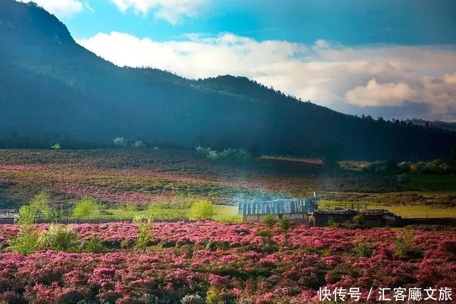 厦门|8个国内五月最美的地方，别辜负了这么美的初夏！