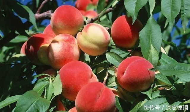 上联$先生出上联:昨日偷桃钻狗洞,不知是谁?学生的下联令人佩服!