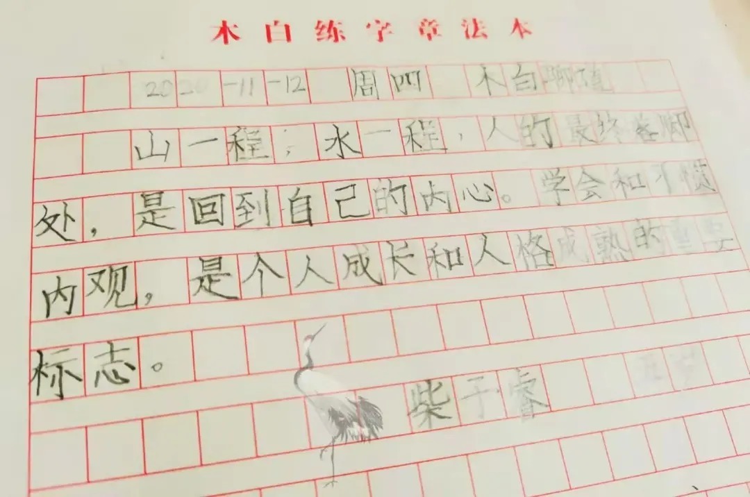 5岁小朋友书写堪比“印刷体”,怎么练出来的?