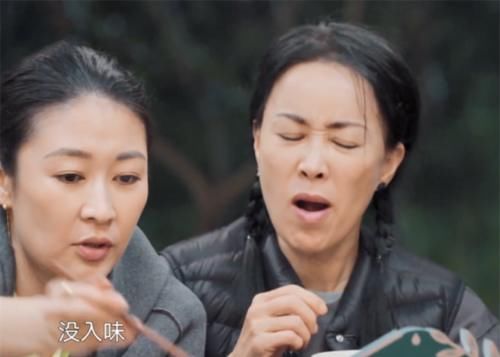 黄老师|《向往5》黄磊厨艺遭质疑，那英一番话撕开遮羞布，何炅顿时尴尬