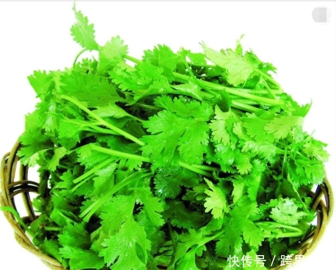 香菜|医生忠告：香菜男人尽量少吃，最好别不要吃，有很多人不清楚