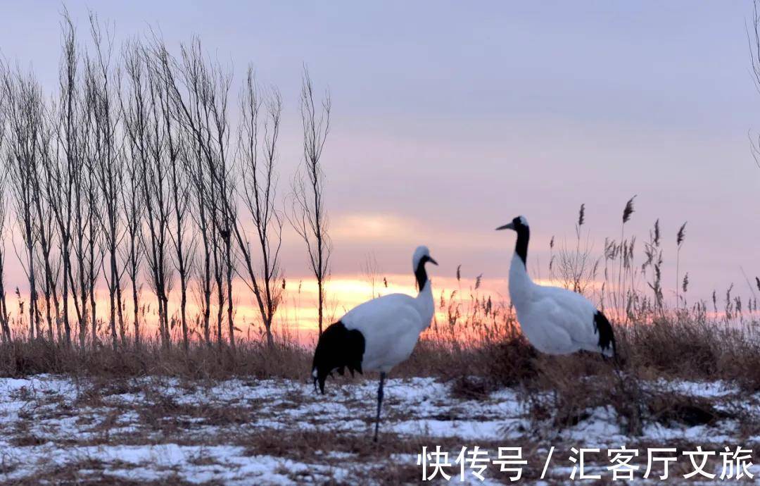 极北之地|首金冠军的家乡，极北之地，这个又美又刚的地方值得上一次热搜！