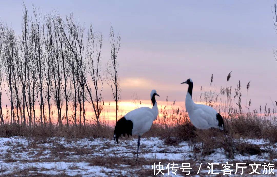 极北之地|首金冠军的家乡,极北之地,这个又美又刚的地方值得上一次热搜!