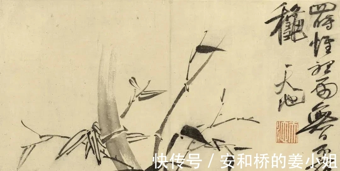 芭蕉！花鸟画一代宗师｜徐渭画竹，当在青藤之后，芭蕉之上，你认为呢？