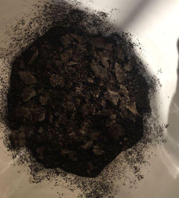 11月前，3种花该换盆了，再冷就迟了，过冬为难！