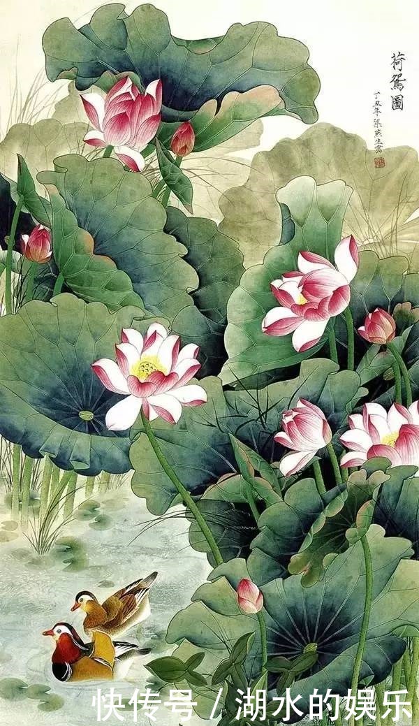 好漂亮的鸳鸯戏水图:祝愿天下有情人!