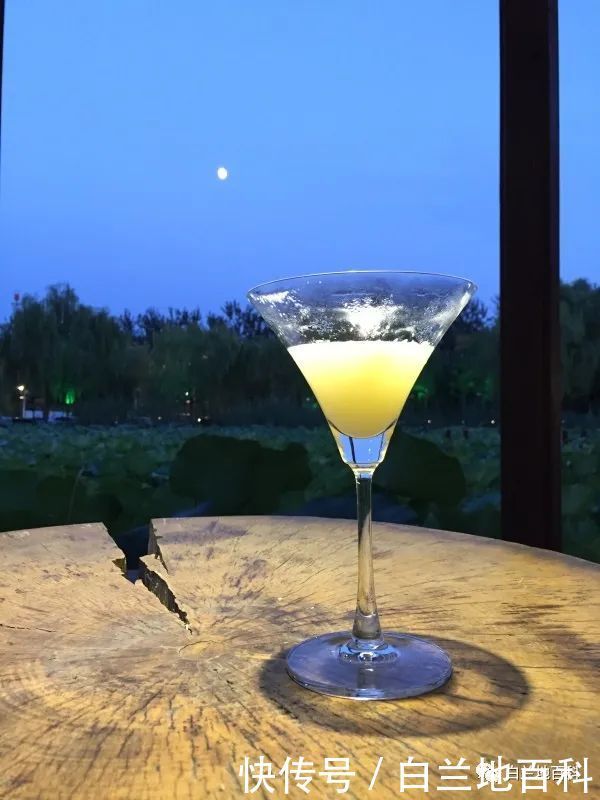 西方国家|一个从未喝过酒的人应该如何点酒