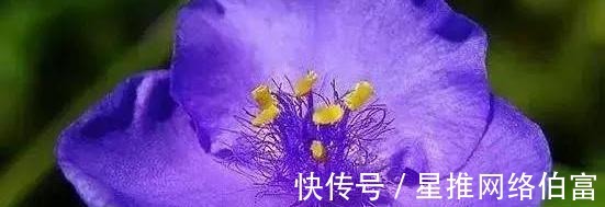 无恒$古今民间谚语大全，老祖宗太智慧了！值得收藏