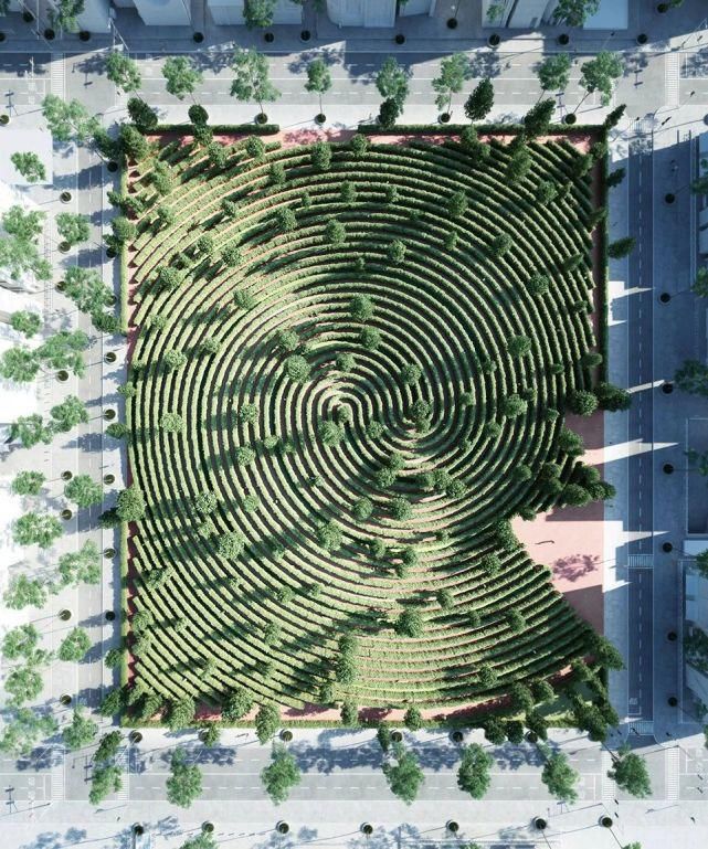 植物“整形”，花样百出