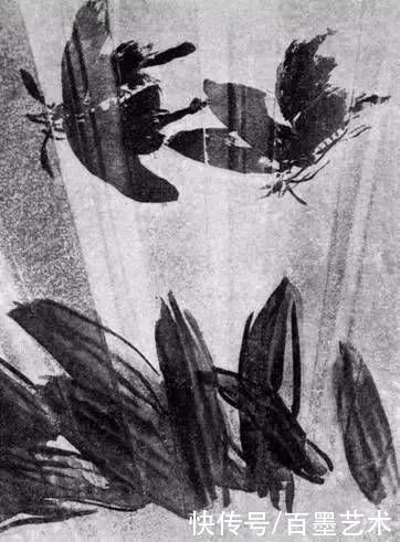 蝴蝶|齐白石草虫图200张,他把草虫画活了