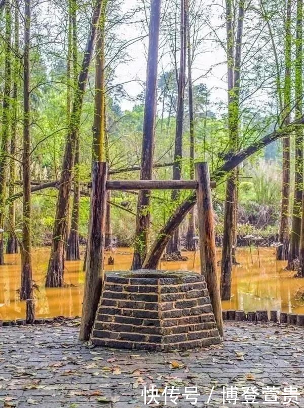 打井|吃水不忘打井人,史上第一口井,谁打的?