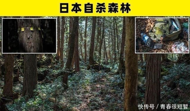 青木原|你可以在世界上找到的6个令大多数人恐惧的旅游景点