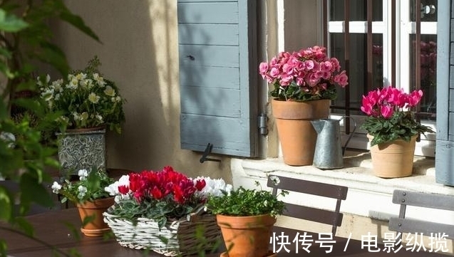 病虫害|养花有讲究,遇到3种情况,只怪你太勤快懒一点,花卉长得更好