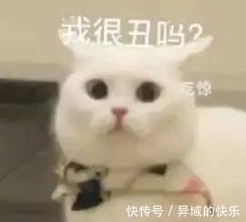 |有人喜欢玩养成类游戏吗? 每日搞笑段子