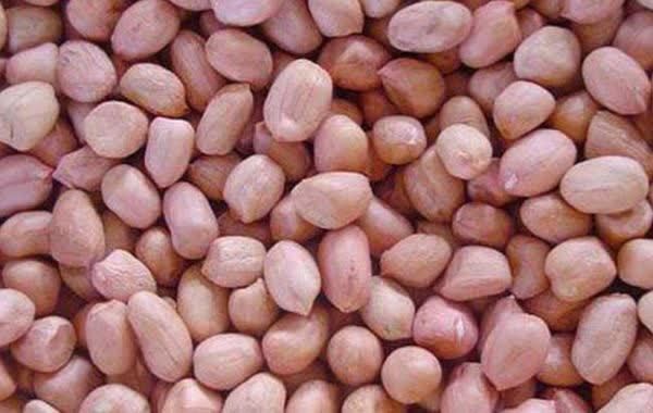 一日三餐|吃花生对血管是有益还是有害?想血管不堵塞,2种素食别往嘴里送