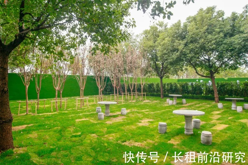 森林公寓|Z世代新人居,碧桂园"第二个家"亮了