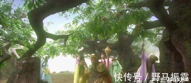 姜子牙@封神第一大妖,九尾猛虎得道,先后攀上元始、昊天上帝,此人是谁