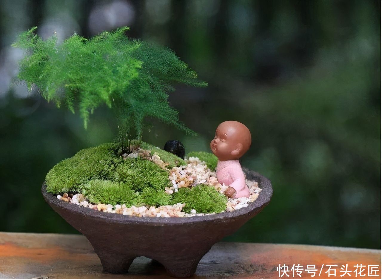 都说冬天要“少浇水”,家里有“4种花”要勤浇水,预防黄叶