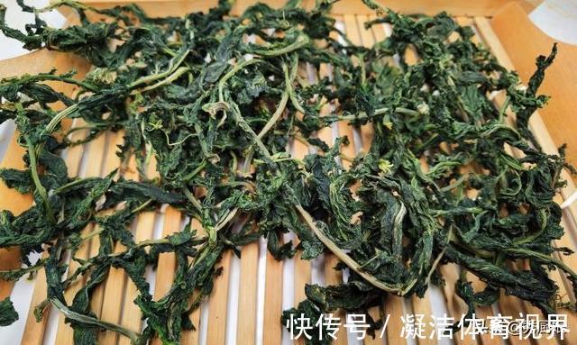 宝贝|很多人只吃果肉，其实叶子才是宝贝，多捡些回家，一晒一烀，真香