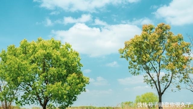 寻春同里，在国家湿地公园邂逅治愈春日之旅