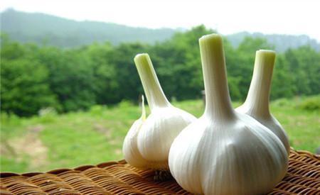 养花人必备的一些养花小技巧,一次性教给你