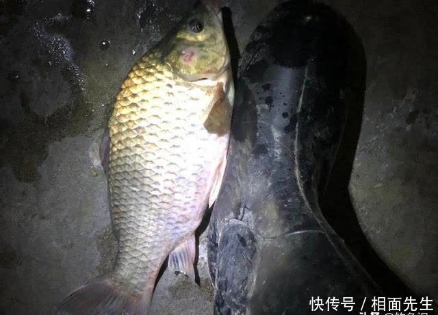 夜光漂该如何调漂?这3种方法简单粗暴,不错过任何一个信号