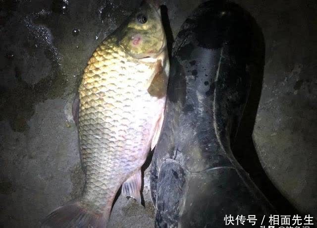 夜光漂该如何调漂？这3种方法简单粗暴，不错过任何一个信号