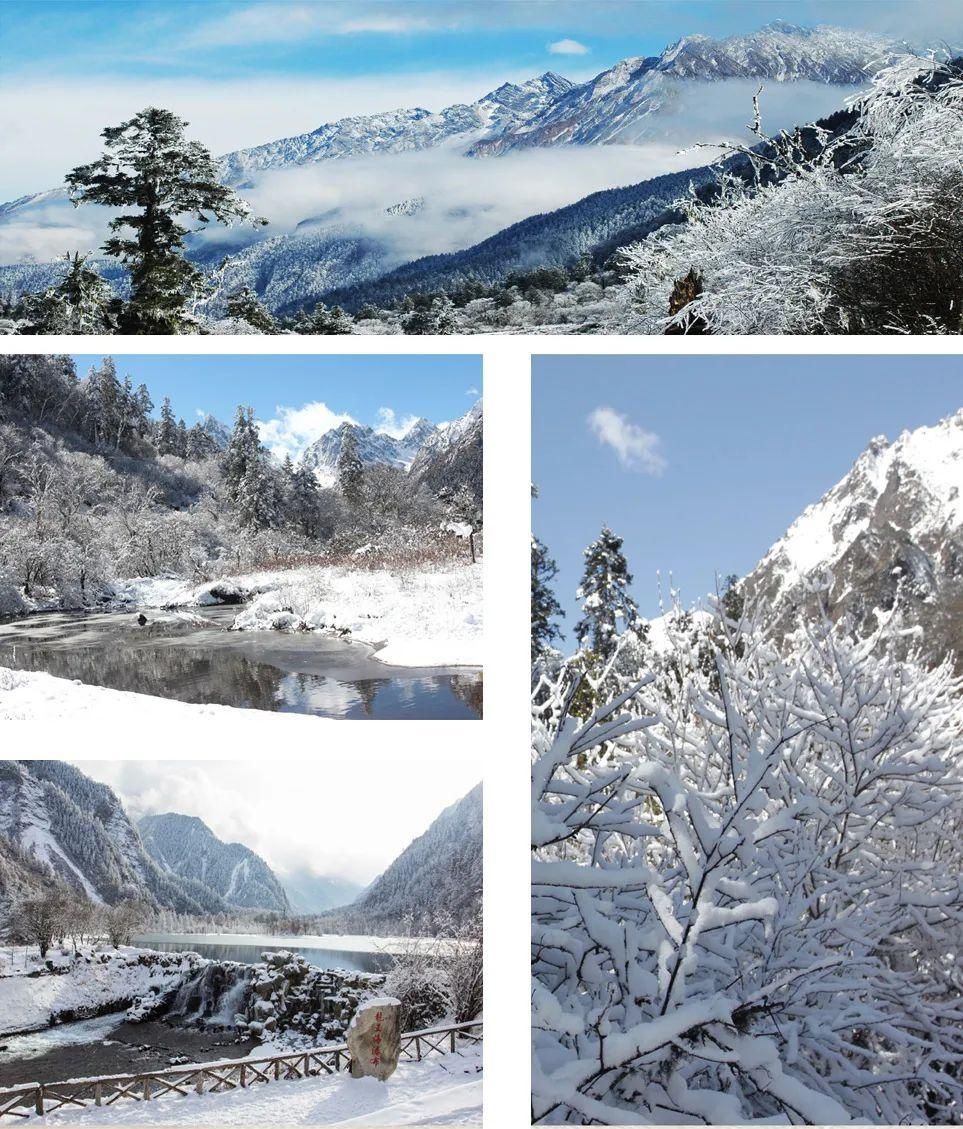  大雪|今日大雪｜晚来天欲雪，能饮一杯无？