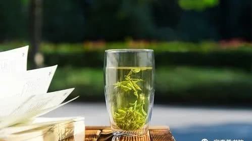 灵气|喝茶,赋能你的灵气!