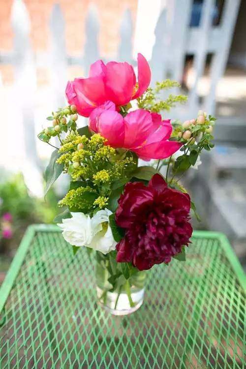 鲜花插几天就枯萎了不用花一分钱,10个小窍门让它开半个月