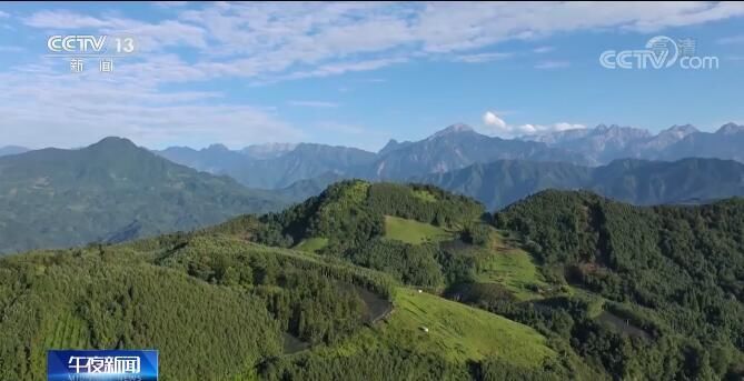 建立国家公园体制 各地加大力度生物多样性保护|第50个世界环境日 | 金丝猴