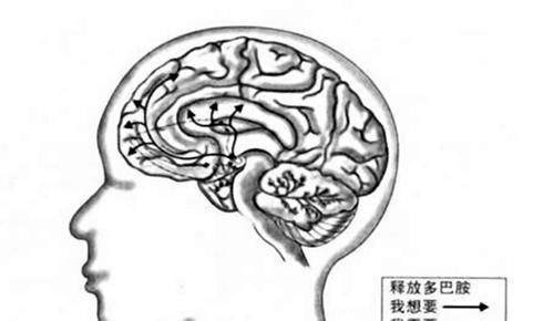 哈佛研究：宝宝大脑发育高峰期一生有三次，请务必帮娃抓住一次