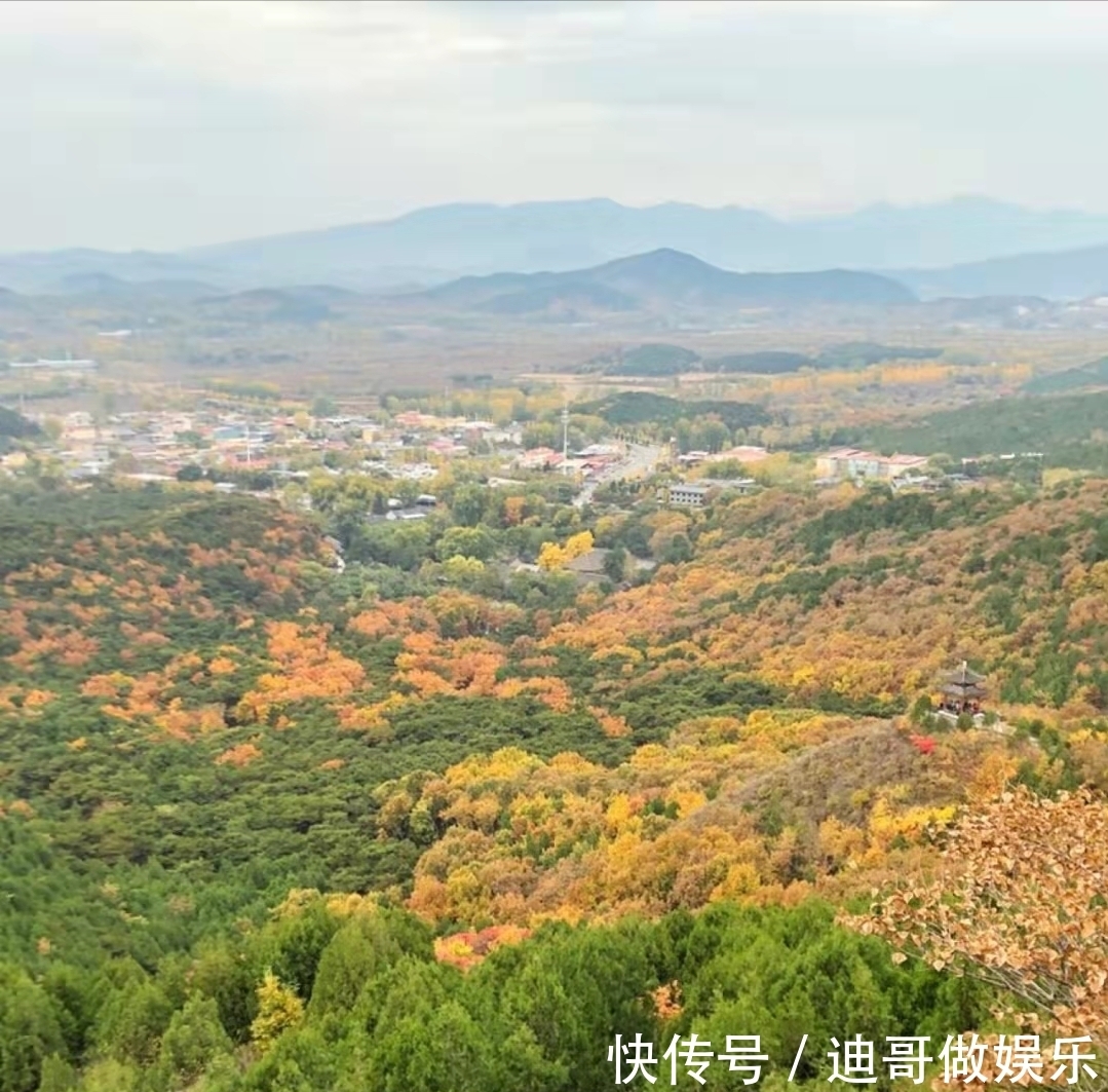 红螺寺|北京银杏美学巅峰：红螺寺千年雌雄银杏树！赏秋与祈福两不误！